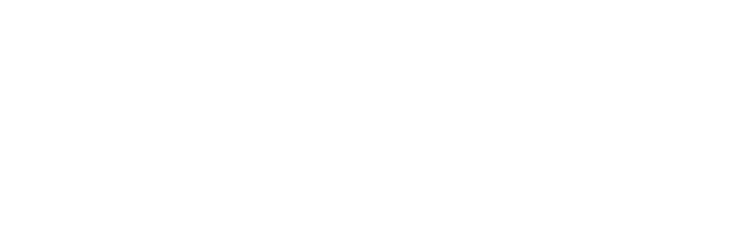 logo light